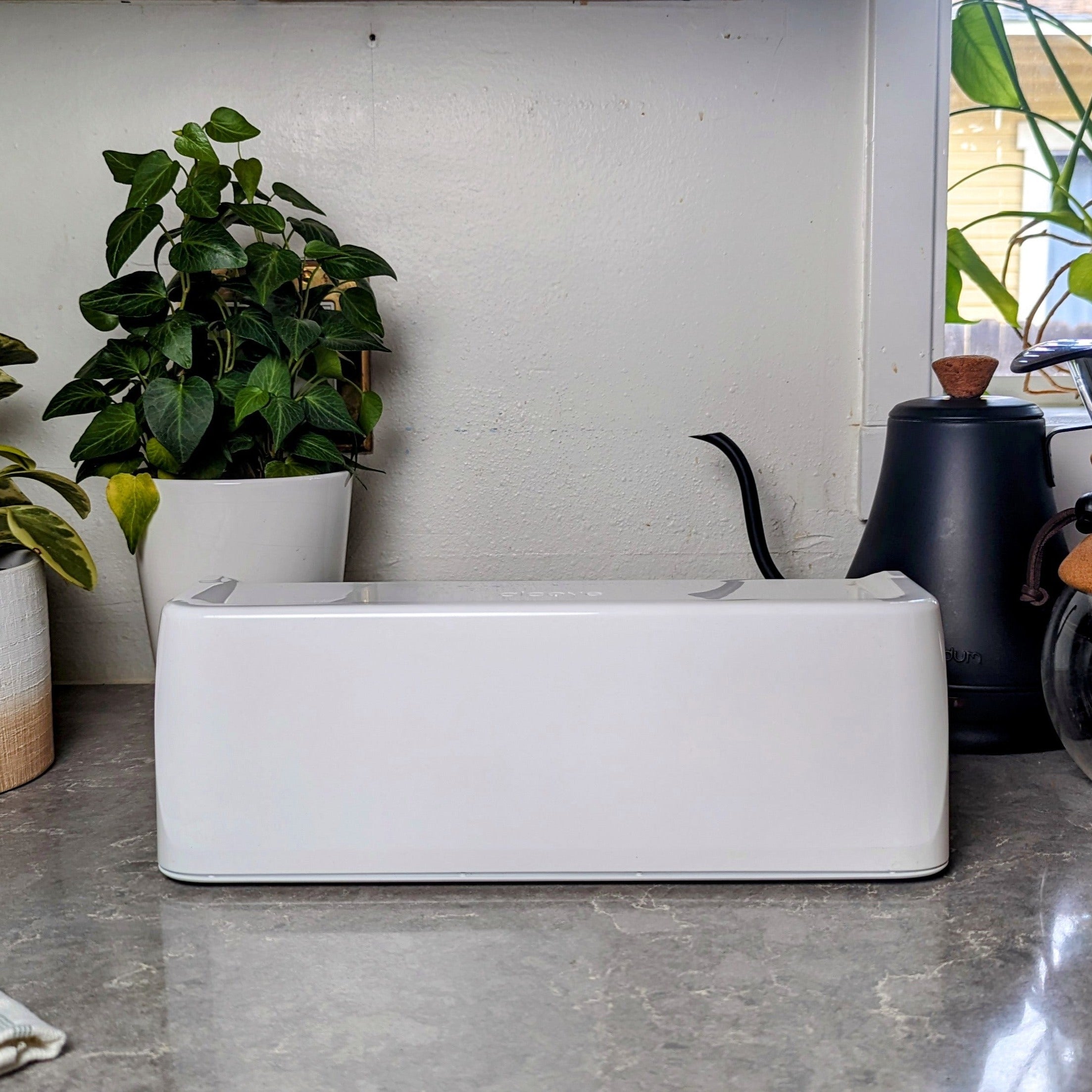 A minimalist pill organizer that stores a months supply of supplements.